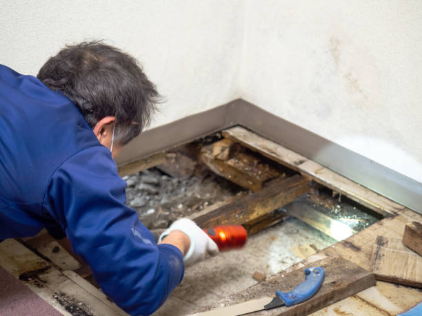 Best Crawl Space Mold Removal  in Kenmar, PA