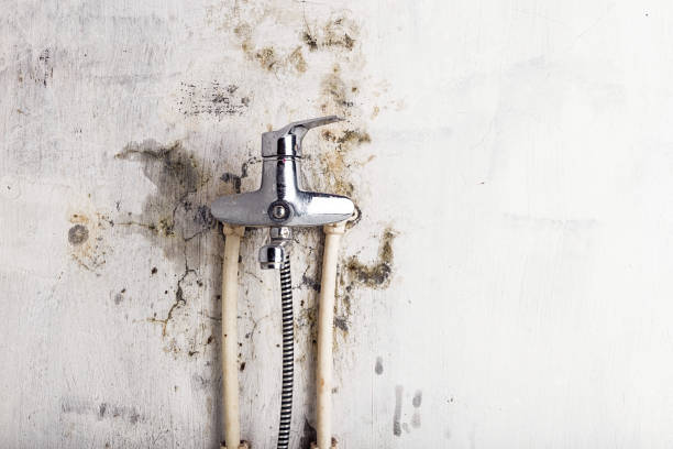 Best Fast Mold Removal  in Kenmar, PA