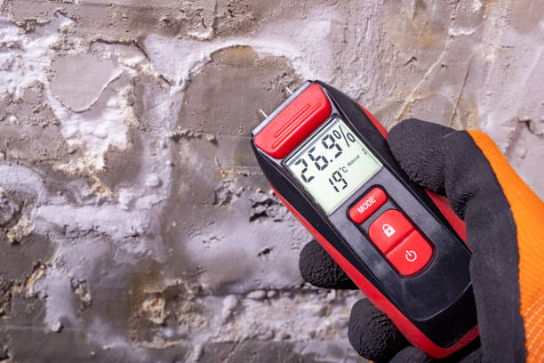 Best Black Mold Removal  in Kenmar, PA