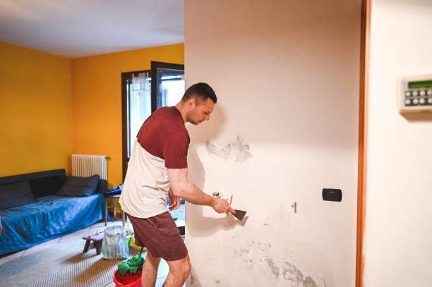 Best Office Mold Removal Services  in Kenmar, PA